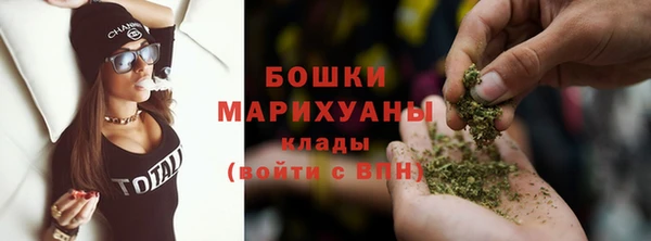 СК Новодвинск