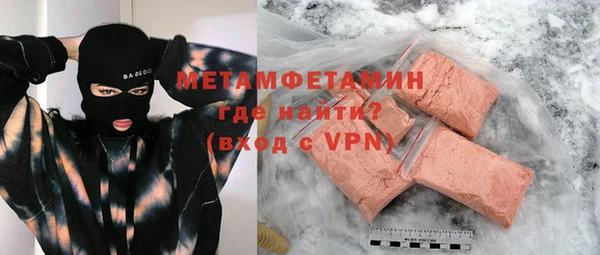 индика Новозыбков
