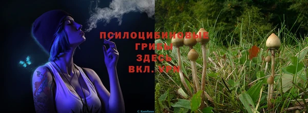 spice Нефтегорск